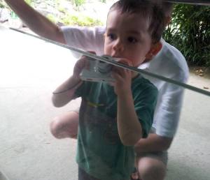 10355802_10154379188520014_8465549959735371168_n